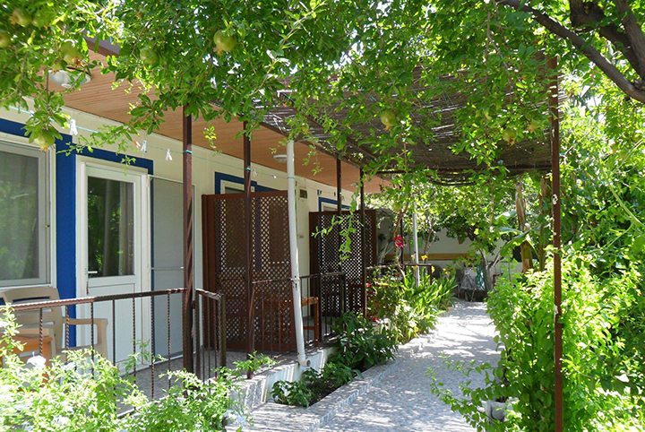 Bodrum’da Doğallığın ve Konforun Yeni Adresi: Mazi Çiçek Pansiyon