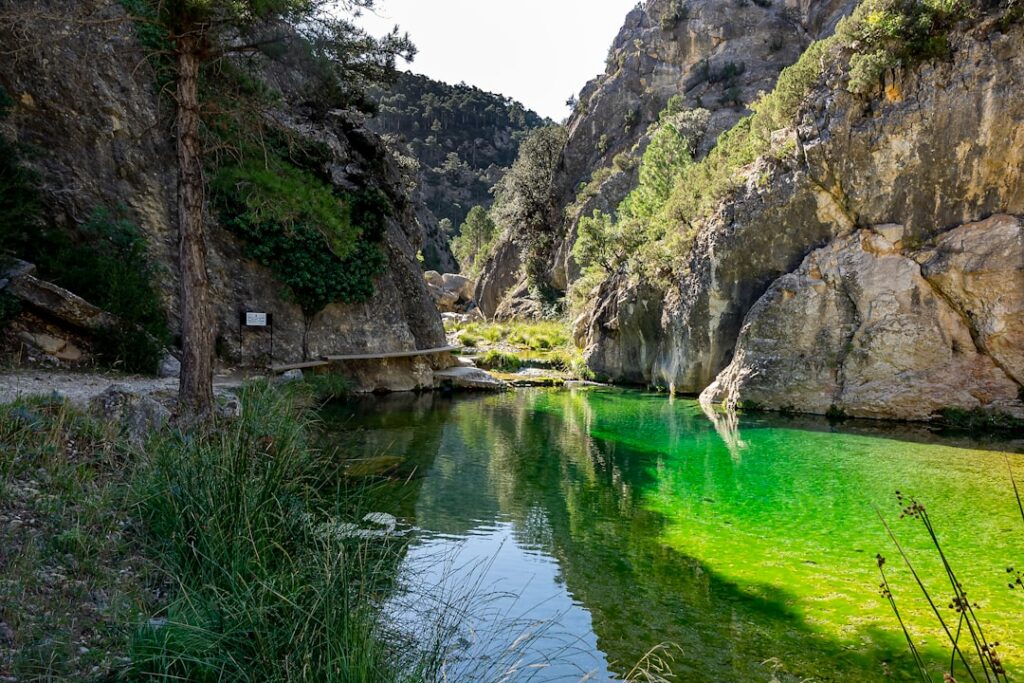 Doğa ile iç içe bir kaçamak yapmaya ne dersiniz? Green Kanyon Tekne Turu, size unutulmaz bir deneyim sunuyor.